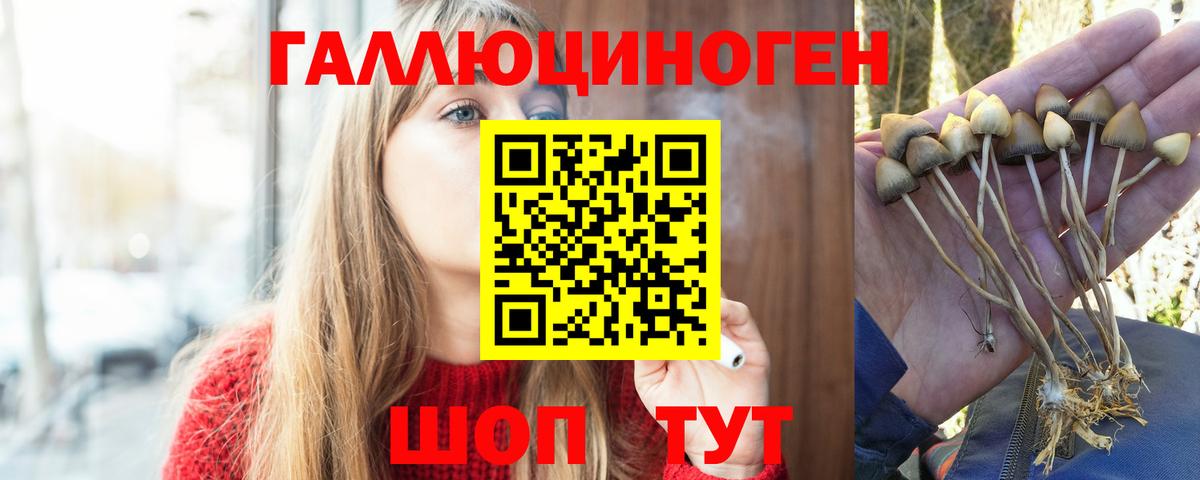 Гатчина  Галлюциногенные грибы ЛСД  Вход с VPN 