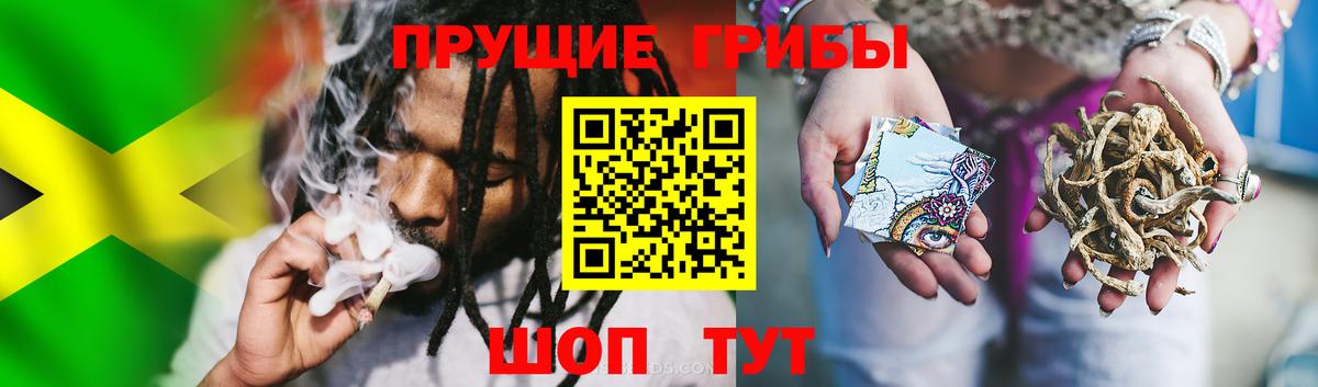 Галлюциногенные грибы ЛСД Гатчина