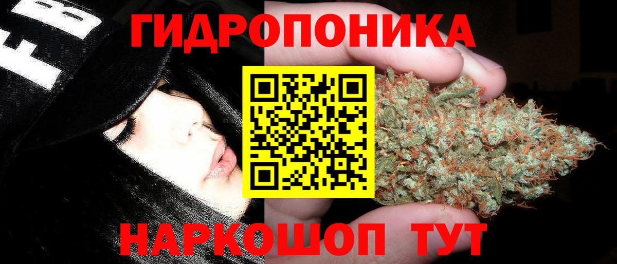 Шишки марихуана Amnesia Гатчина